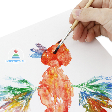 Студия рисования «Краски» – Школа рисования для начинающих взрослых