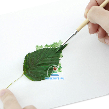 Рисование отпечатками листьев интернет-магазин