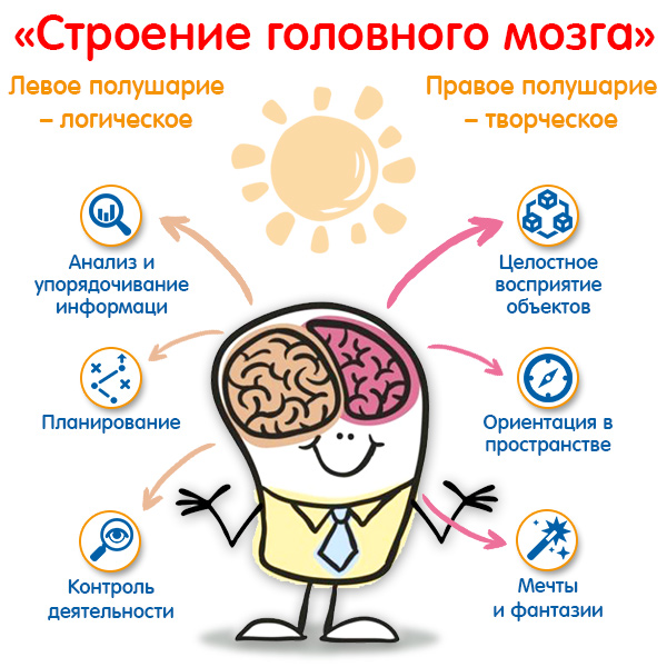 Ученый: Наш мозг можно заменить большой комнатой, набитой компьютерами